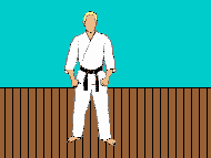 Karate technique
