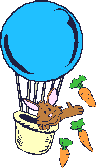 Rabbitt in a balloon