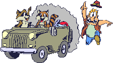 Racoons drive