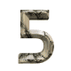 5