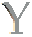 Y