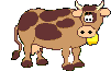 Cow 2