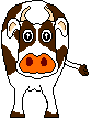 Cow 5