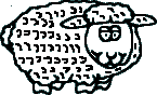 Sheep 2