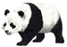 Panda 2