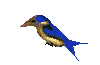 3D bird