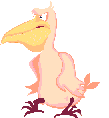 Angry pelican