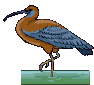 Bird 4