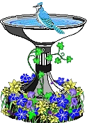 Bird bath
