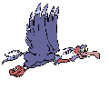 Vulture