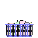 Cat in basket