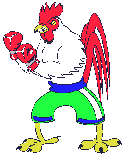 Rooster fighter