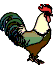Rooster walks