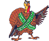 Turkey warrior