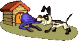 Dog and man