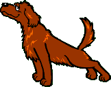 Dog barks 3