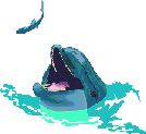 Dolphin mouse