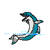 Happy dolphin