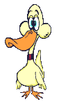 Big beak