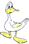Bored duck