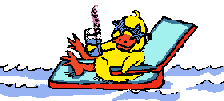 Duck relaxes