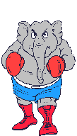 Elephant boxer