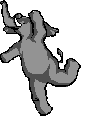 Dancing elephant