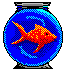 Goldfish in bowl