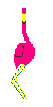 Pink flamingo dances