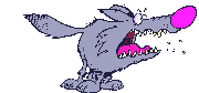 Big nose wolf