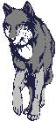 Wolf 3