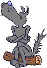 Wolf sits