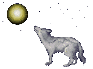 Wolf