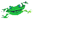 Frog approaches