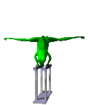 Frog gymnast 2