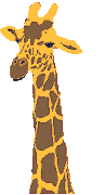 Long neck