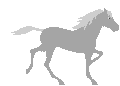 Grey horse