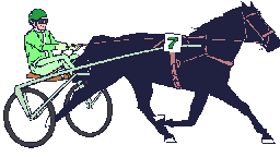 Horse racing