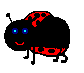 Black ladybug