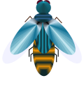 Firefly 3
