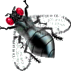 Fly 4