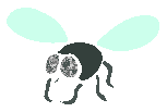 Fly 5