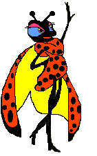 Ladybug lady