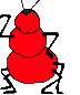 Red ant