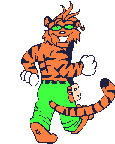 Cool tiger
