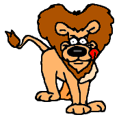 Hungry lion