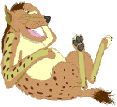 Hyena laughs
