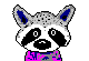 Racoon head