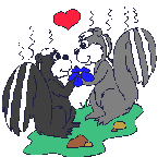 Skunk love