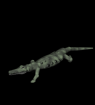 3D alligator